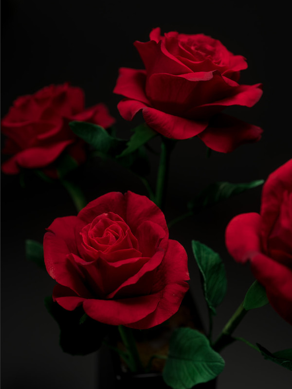 4 red sugar roses